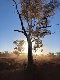 Anthropozän – Karijini Nationalpark (Australien)