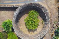 Leben mit Vulkanen – Die typischen Giardini Panteschi – kreisförmige Türme aus Lavagestein – sollen die Obstbäume in ihrem Inneren vor den starken Meereswinden schützen.
