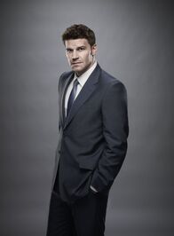 Bones - Die Knochenjägerin – Seeley Booth (David Boreanaz)