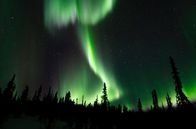 "Amerikas beste Idee" – Polarlichter entstehen meist ab ca. 66,5° nördlicher Breite. In mittlerer Breite sind sie sehr selten und hängen von der Aktivität der Sonne ab.