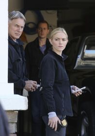 Navy CIS – Ermitteln in einem neuen Fall: Bishop (Emily Wickersham, r.), Gibbs (Mark Harmon, l.) und McGee (Sean Murray, M.) ...