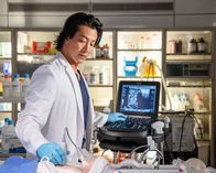 The Good Doctor – The Good Doctor (2019)