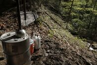 Schwarzmarkt im Visier – APPALACHIAN MOUNTAINS- Rosco and Woodrow's backwood moonshine site. (Photo Credit: National Geographic Channels/ Johnny McDevitt)