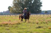 Stadt Land Kunst – Im Herzen Floridas entdeckt man abseits der Strände naturbelassene Grünflächen mit weidenden Rinderherden. Hier tauchten Anfang des 16. Jahrhunderts die ersten Cowboy auf, vor Ort wegen des Knalls ihrer Peitschen lautmalerisch „Cracker“ genannt.