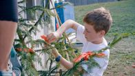 SommerCamp - Back To the Roots – Schleifchen für die Tanne - wofür macht sie Luca so hübsch?