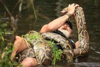 Die Pythonjäger - Einsatz in den Everglades – Dusty Crum im Ringkampf mit der Schlange im Teich, mittlere Einstellung