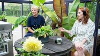 Virtual Designs - Unser Traumhaus wird real – Fr, 28.06., 19:15 Uhr