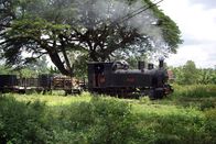 Eisenbahn-Romantik – Waldbahn von Cepu im Osten Javas.