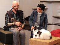 Der Katzenflüsterer – Jackson Galaxy petting a cat in the cafe.