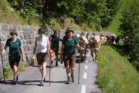 Heimatleuchten – Alpenabtrieb mit Kühen