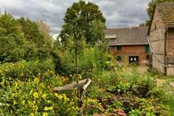 Ein Tag – Auf dem Permakulturhof wachsen im Wesentlichen Nutzpflanzen. Vor allem Gemüse, Salat, Kartoffeln und Obst. Jetzt, im Herbst, steht die Apfelernte an. Die Bäume müssen beschnitten werden. Im Oktober feiert die Kerntruppe der Permakulturgärtner bei einem abendlichen Essen ihr Erntedankfest.