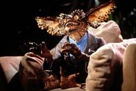 Gremlins II - Die Rückkehr der kleinen Monster – Do, 15.12., 01:55 Uhr