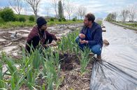 Roots – Gemeinsam schauen sich Pierre (re.) und Benoît (li.) an, wie es um Benoîts Mutterboden steht.
