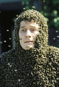 Malcolm mittendrin – Hal (Bryan Cranston)
