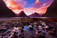 Wildes Neuseeland – Der Milford Sound ist eine von Neuseelands berühmtesten Naturikonen. Lange Zeit wurde der Fjord von Seefahrern übersehen. Erst im Jahr 1812 wurde er von Europäern entdeckt