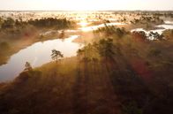 Paradiese aus Menschenhand – Moore üben eine tiefe Faszination aus: Die mystischen Landschaften sind Heimat vieler selten gewordener Tier- und Pflanzenarten.