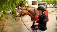 HipHorses – Larissa und Checker Jack nach dem Turnier.Â