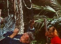 ALF – ALF (1989)