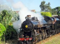 Mit dem Zug ... – Mit der Museumseisenbahn durch die Grafschaft Kent auf der Romney, Hythe&Dymchurch Railway.