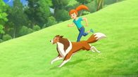 Lassie – Zoe und Lassie erfreuen sich an der wunderschönen Landschaft in der Graham, Zoes Vater, als Kind lebte.
