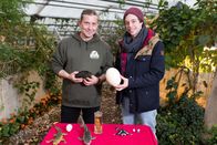Checker Tobi – Checker Tobi (rechts) und Tierarzt Markus Baur mit einer Schildkröte.