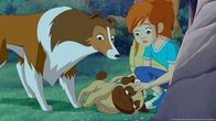 Lassie – Biff, der Mops von Mrs. Lee, hat von Giftpilzen genascht, und nun geht es ihm sehr schlecht.