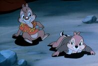Chip und Chap - Die Ritter des Rechts – So, 21.12., 13:45 Uhr