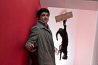 Der letzte Bulle – Als Andreas (Maximilian Grill) in dem Haus der Ermordeten einen Warnhinweis nebst aufgehängter Katze entdeckt, ahnt er, dass der Mörder sein Opfer zum Stillschweigen bewegen wollte ...
