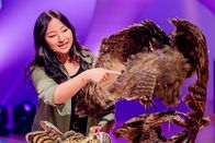 1, 2 oder 3 – Vogel-Expertin Liyang Zhao erklärt die Bedeutung und Eigenschaften der unterschiedlichen Federn.