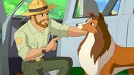 Lassie – Ranger Graham schickt Hündin Lassie gemeinsam mit den Kindern los, um Mrs. Lee das Gegengift zu bringen.