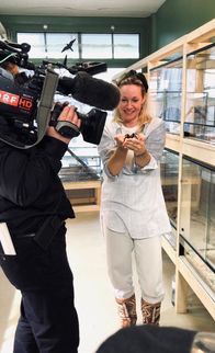 Studio 2 – Katrin Jenni mit Vogelspinne Rosi.