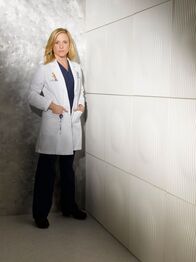 Grey's Anatomy – (6. Staffel) - Auf die engagierte Ärztin Dr. Robbins (Jessica Capshaw) warten neue Herausforderungen ...