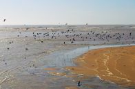Nationalparks der Zukunft – Das Mündungsdelta des Kunene ist eines der artenreichsten Küstenfeuchtgebiete des neuen grenzüberschreitenden Schutzgebiets.