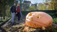 SOKO Wismar – Der ehrgeizige Kürbiszüchter Ingmar Rohrbach wird tot neben seinem Riesenkürbis gefunden. Der 63-Jährige war Hauptverdächtiger für den Angriff auf den "ermordeten" Kürbis Egon. Hat seine Frau Sabine doch mehr unter der Zuchtleidenschaft ihres Mannes gelitten, als sie zunächst zugibt? Inwieweit kann der Vorsitzende des Zuchtvereins den Ermittlern Karoline Joost (Nike Fuhrmann, r.) und Lars Pöhlmann (Dominic Boeer, l.) die Verhältnisse zwischen den Züchtern erklären?
