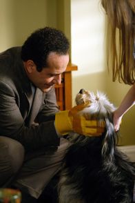 Monk – Adrian Monk (Tony Shalhoub) kann nicht zulassen, dass der Hund Shelby in der Tötungsstation landet und nimmt ihn kurzerhand bei sich auf. Ob das gut geht?