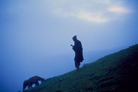 Wilde Paradiese – Bhutan -Ein Schafhirte mit einer Ziege auf der Weide.