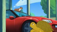 Törtel – Marder Kevin (l.) hat sich in ein Auto verliebt, doch Schildkröte Törtel (r.) weiß: Das wird der Besitzerin so gar nicht gefallen.