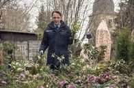 Tatort – Lupo ( Arndt Schwering-Sohnrey) genießt seinen Garten