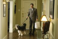 Monk – Ausgerechnet der überaus penible Monk (Tony Shalhoub) kommt auf den Hund ...