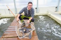Aufgetischt – Martin Temmel, Welszucht und Gemüse aus der Aquaponik-Anlage in Timmersdorf.