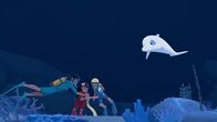 Zoom - Der weiße Delfin – Insel unter Wasser 2