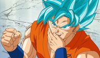 Dragon Ball Super – Fr, 29.05., 17:10 Uhr