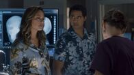 Navy CIS: Hawaii – Navy CIS: Hawaii (2021)