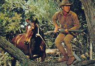 Nevada Smith – Auf der Jagd nach den Mördern seiner Eltern: Nevada Smith (Steve McQueen).