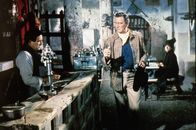 Hatari – Sean Mercer (John Wayne) ist Kopf der Mannschaft einer Großwild-Fangstation in Tansania. Eines Tages stößt eine junge Fotografin zu seinem Team ...