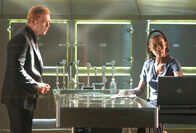 CSI: Miami – CSI: Miami (2007)