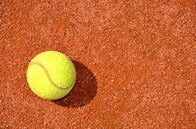 Tennis: ATP 500 – Sa, 20.07., 15:20 Uhr