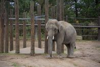 Zoogeflüster – Fr, 06.03., 07:20 Uhr