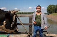 Die Donau – Zum Übersetzen der Fähre braucht es vor allem viel Kraft. Mindestens vier Personen am Schaufelrad. Je nach Laune der Donau, müssen sie bis zu 8 Mal im Jahr die Tiere von der Insel holen und wieder zurückbringen. Da muss die ganze Familie mit anpacken.