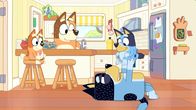 Bluey – L-R: Bingo, Chilli, Bandit und Bluey